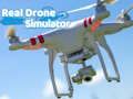 Spel Riktig dronesimulator  på nätet