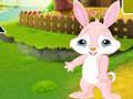 Spel Hitta The Buddy Rabbit  på nätet