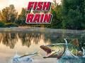 Spel Fisk Regn pÄ nÀtet Spel Fisk Regn pÄ nÀtet