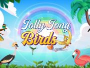 Spel Jolly jong fåglar på nätet