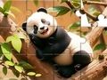 Spel Pussel: Panda på träd  på nätet