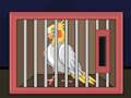 Spel Släpp The Cockatiel Bird  på nätet