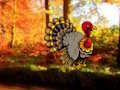 Spel Thanksgiving Dancing Turkiet Escape på nätet