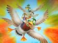 Spel Migration Flappy Duck på nätet