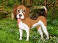 Spel Blommaträdgård hund fly på nätet