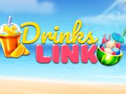 Spel Dryckeslänk  på nätet