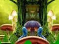 Spel Fantasy Peacock Family fly på nätet