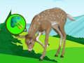 Spel Deer Meadow Escape  på nätet