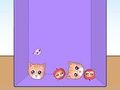 Spel Evolution av kattmemes  på nätet