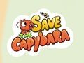 Spel Rädda Capybaran  på nätet