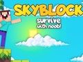 Spel Skyblock överleva med Noob!  på nätet