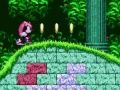Spel Mighty & Ray i Sonic 2  på nätet