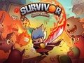 Spel Survivor: Space Battle på nätet