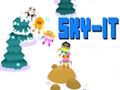Spel Skidor på nätet