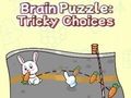 Spel Brain Puzzle: Knepiga val  på nätet