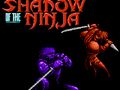 Spel Ninja skugga på nätet