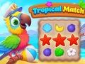 Spel Tropisk match på nätet