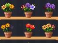 Spel Bra blomstermästare  på nätet