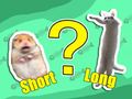 Spel Kids Quiz: Kortast och längst  på nätet