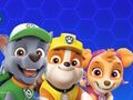 Spel Tasspatrull pÄ nÀtet Spel Tasspatrull pÄ nÀtet