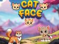 Spel Katt Ansikte  på nätet