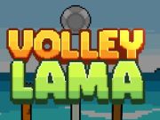 Spel Volley lama på nätet