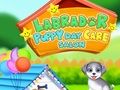 Spel Labrador valpdagissalong  på nätet