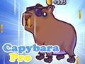 Spel Capybara pro på nätet