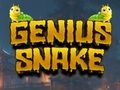Spel Genius orm  på nätet