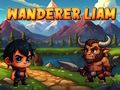Spel Vandraren Liam  på nätet