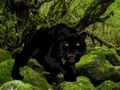 Spel Fly från Black Panther Forest  på nätet