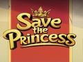 Spel Rädda prinsessan  på nätet