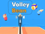 Spel Volleyböna pÄ nÀtet Spel Volleyböna pÄ nÀtet