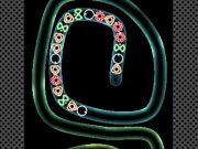 Spel TD Neon Shoot på nätet