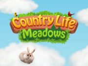 Spel Country Life Meadows på nätet