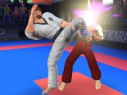 Spel Karate kämpe på nätet