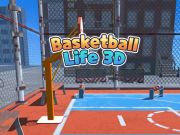 Spel Basketliv 3D  på nätet
