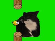 Spel Flappy Bird Spinning Oia Oia Cat på nätet