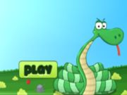 Spel Orm lite  på nätet