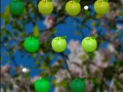 Spel Saftigt äpple  på nätet