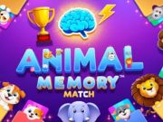 Spel Djurminnesmatch  på nätet