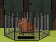 Spel Rädda bisonen från Cage  på nätet