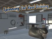Spel Snurrande katt verklig körning  på nätet