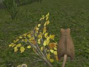Spel Skogsmus pÄ nÀtet Spel Skogsmus pÄ nÀtet