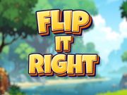 Spel Vänd det rätt  på nätet