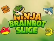 Spel Ninja hjärnskiv  på nätet