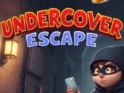 Spel Undercover fly  på nätet