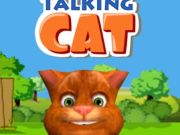 Spel Talkatt  på nätet