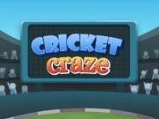 Spel Cricketväska  på nätet