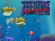 Spel Utfodring av frenesi på nätet Spel Utfodring av frenesi på nätet